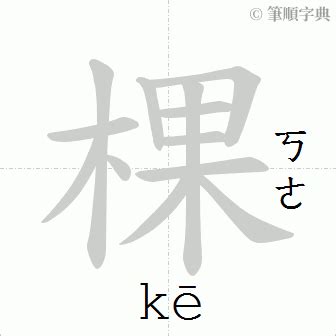 棵造詞|棵的解釋